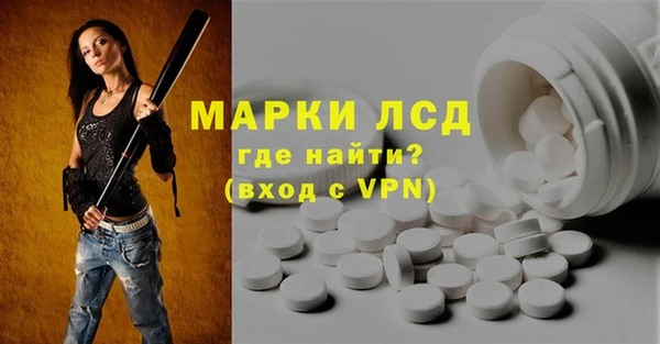 гашик Вяземский