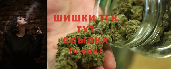 мдпв Вязьма