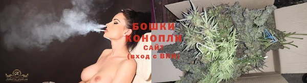 гашик Вяземский