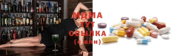 гашик Вяземский