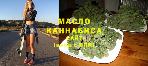 гашик Вяземский