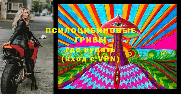 мдпв Вязьма