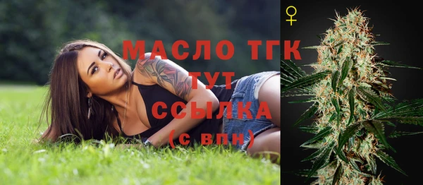 гашик Вяземский