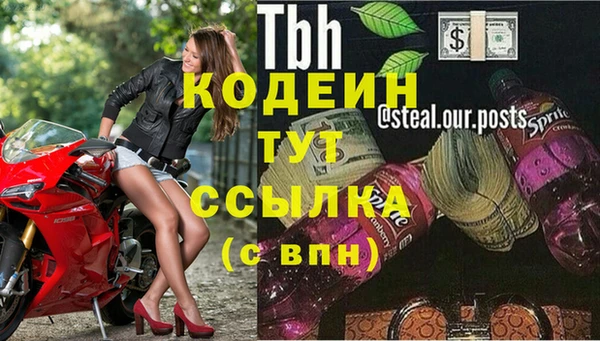 мдпв Вязьма
