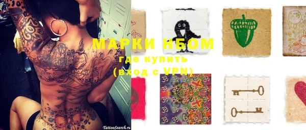 гашик Вяземский
