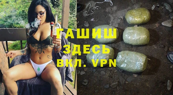 гашик Вяземский