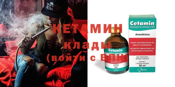 гашик Вяземский