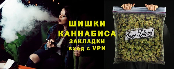гашик Вяземский