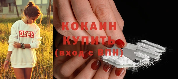 мдпв Вязьма